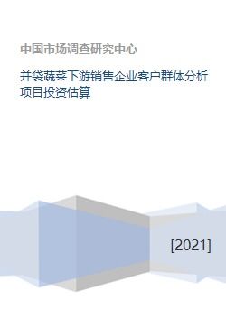 并袋蔬菜下游销售企业客户群体分析项目投资估算